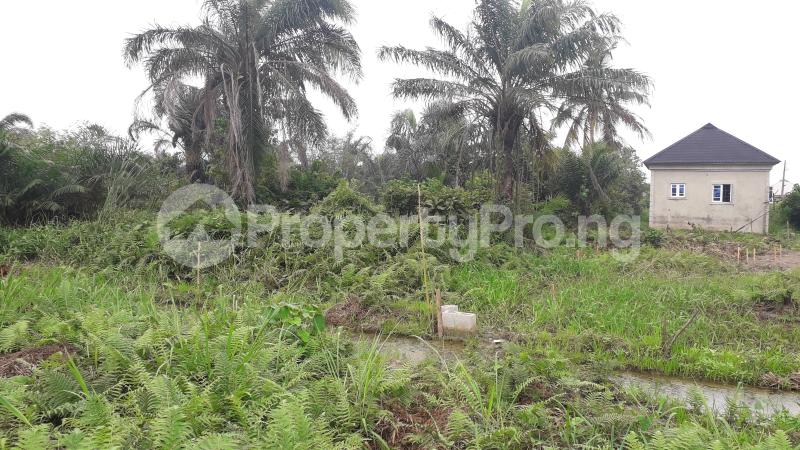 Land for sale Vic Emanuel Ipaja Ipaja Lagos