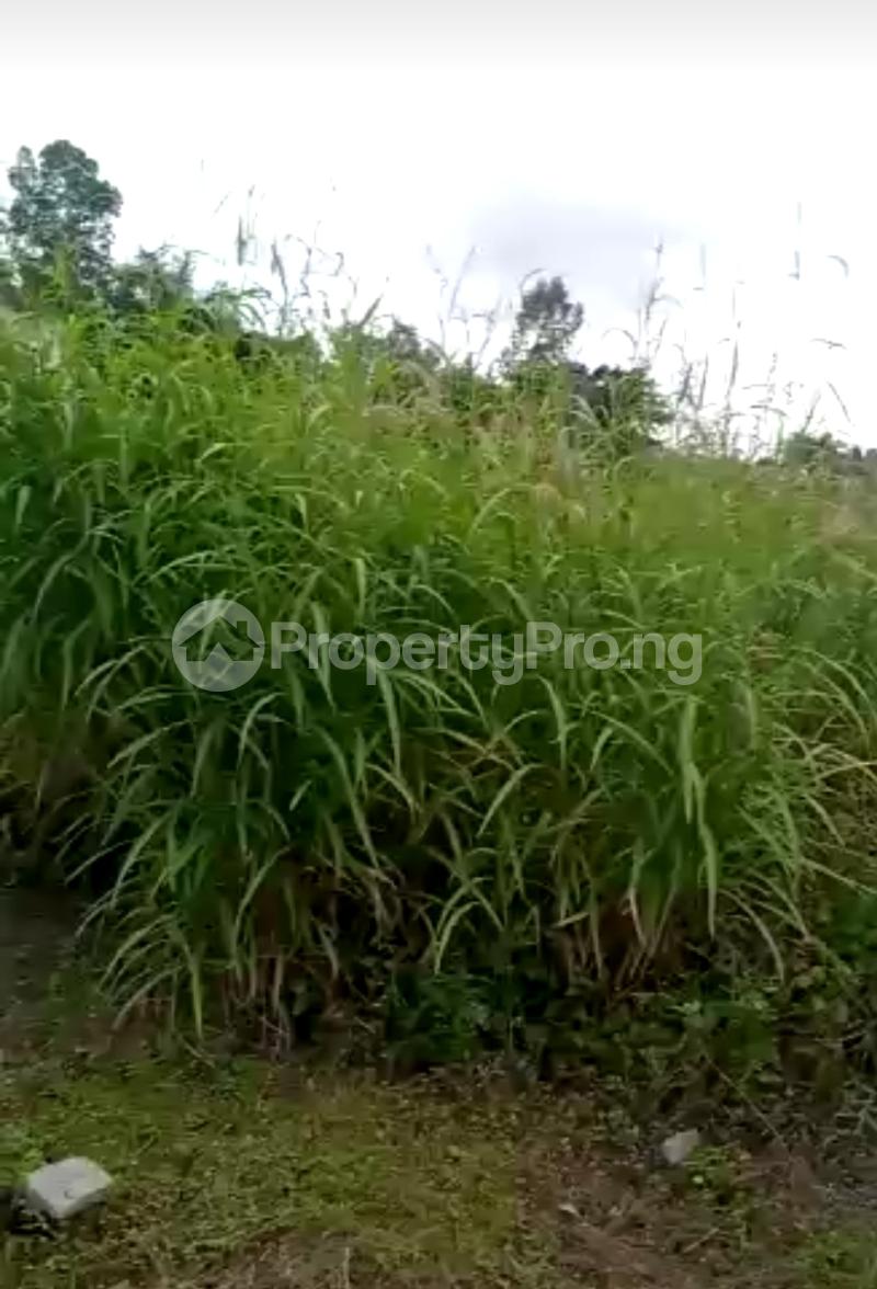 Land in Monastery road Sangotedo Lagos Land for sale in sangotedo