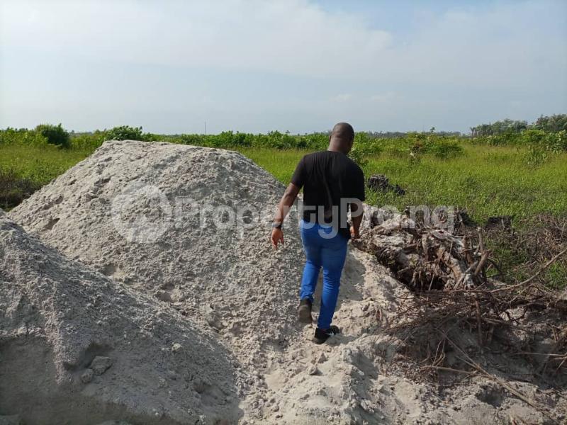 Land for sale Citadel Dreams & Gardens Akodo Ise Along Igbogun Road Ibeju-Lekki Lagos - 0