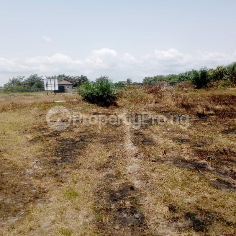 Land for sale Akowonjo Alimosho Lagos