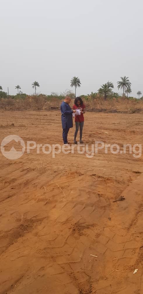 Land for sale Ashron View Estate Phase 1 About 5min Drive From The Shoprite Novare Mall Lekki Phase 1 Lekki Lagos