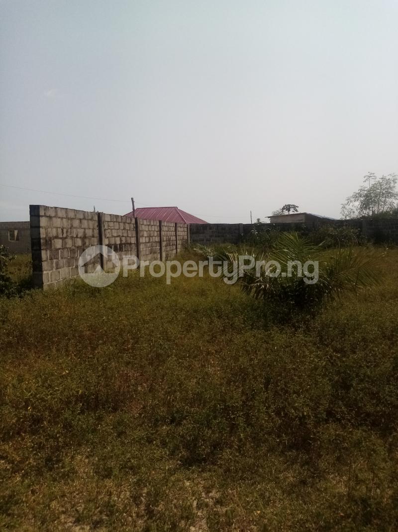Land for sale Encomium Estate 1 Arapagi Ibeju Lekki Pennisula Lagos State Free Trade Zone Ibeju-Lekki Lagos - 0