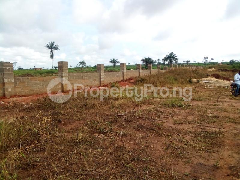 Land for sale Beside Immigration Office, Ibusa Asaba Delta