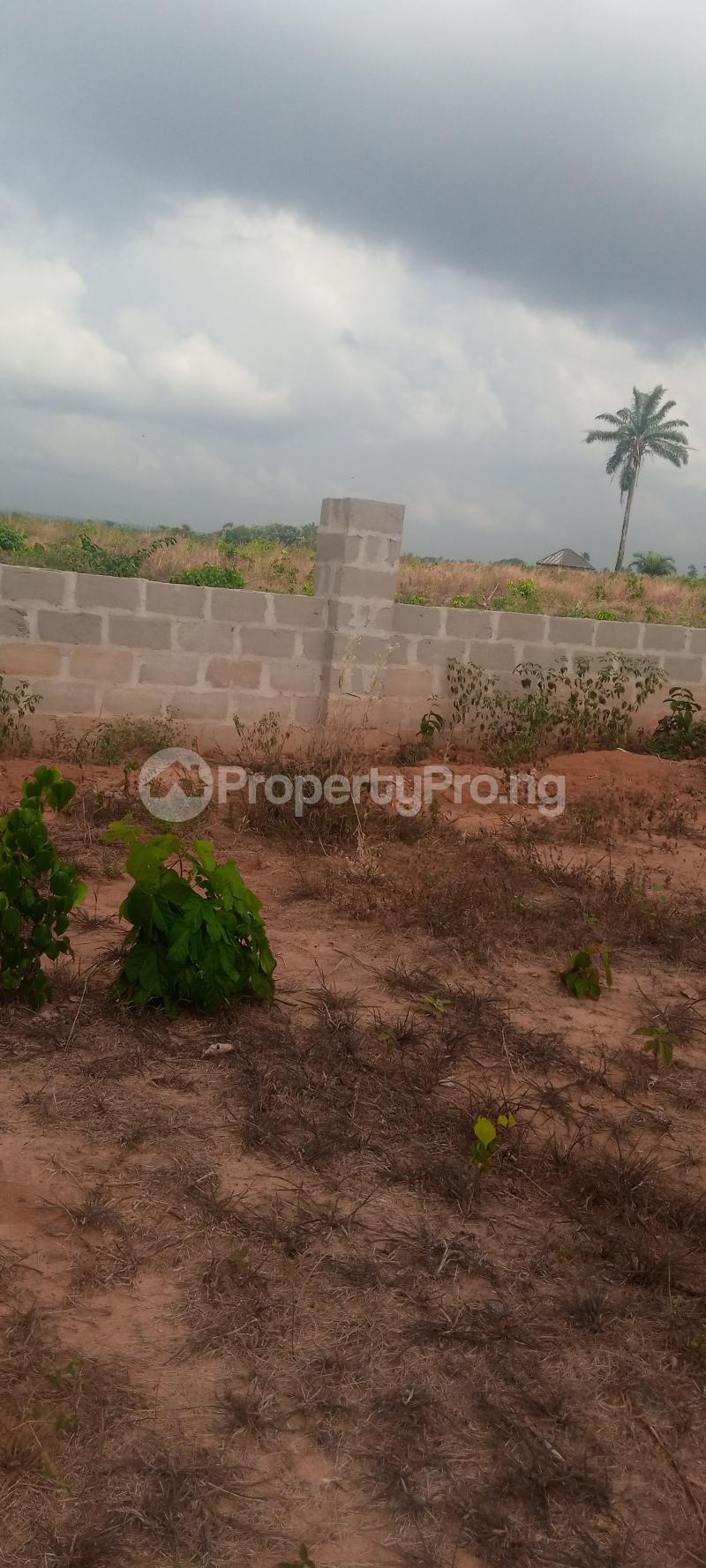 Land for sale By Steel Mill Asaba Delta - 0