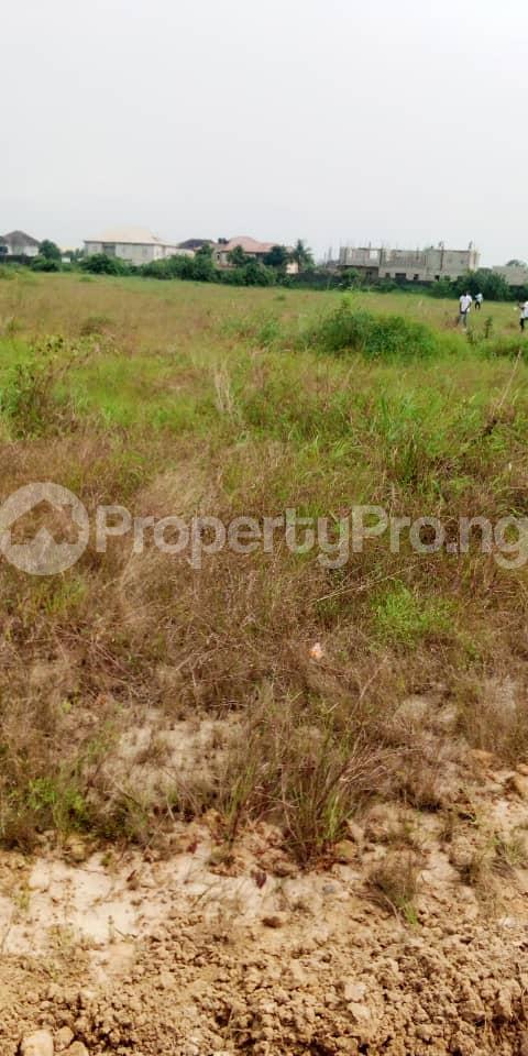 Land for sale Asagun Village Igbogun Road Ibeju Lekki Lagos State Free Trade Zone Ibeju-Lekki Lagos - 0