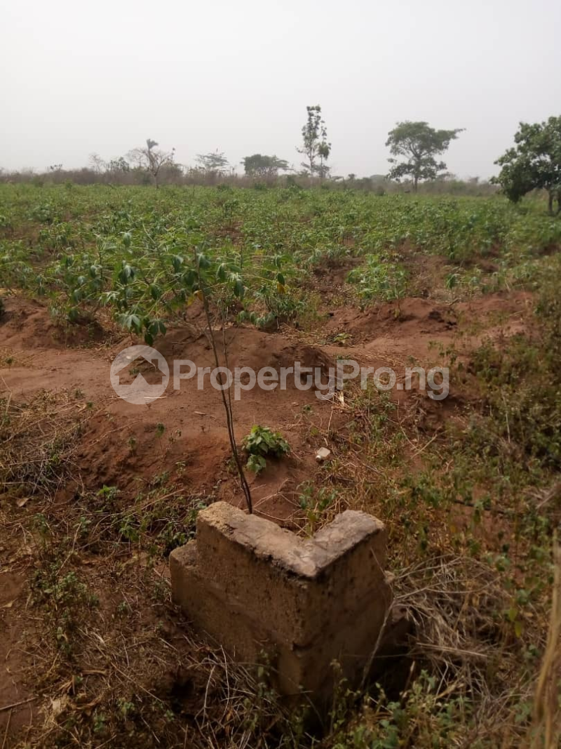 Land for sale Dei-Dei Abuja - 0