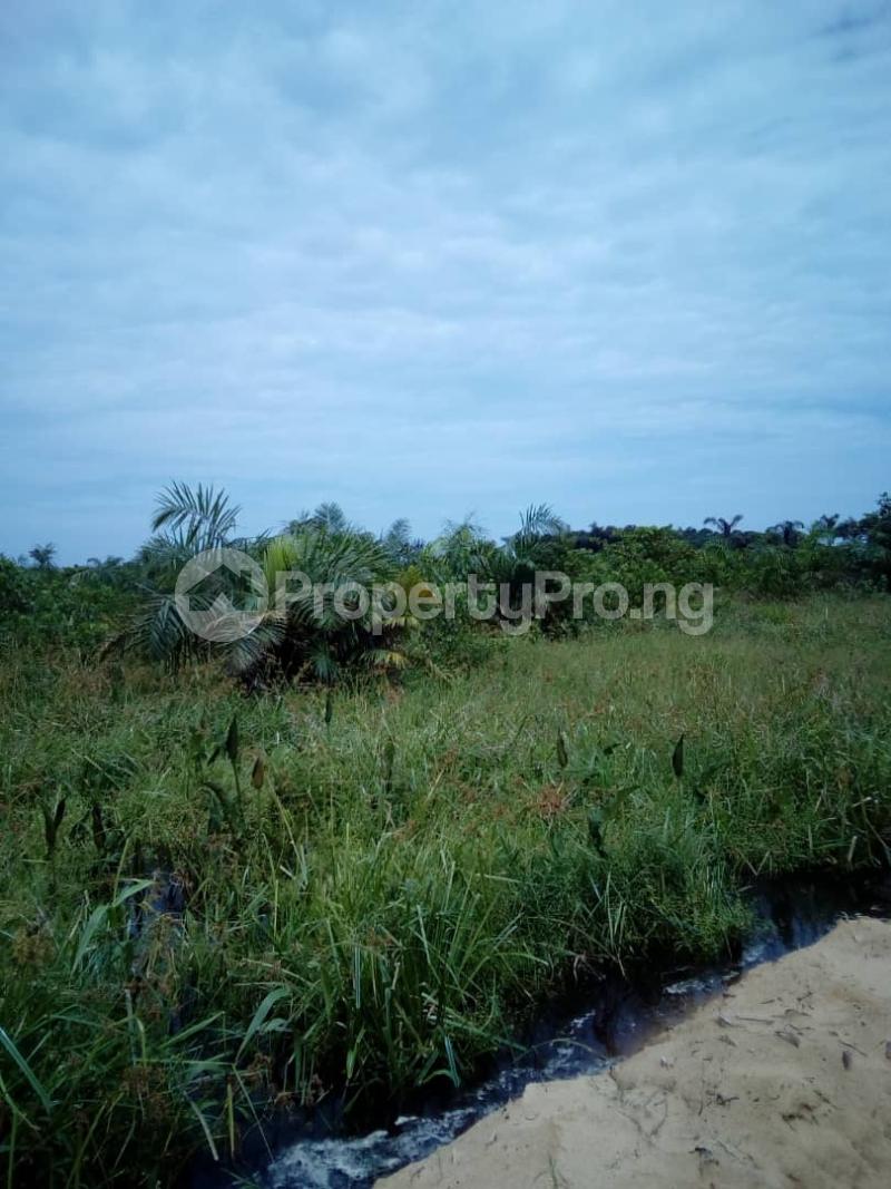Land for sale Eleko Ibeju-Lekki Lagos