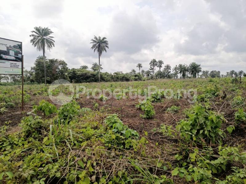 Land for sale Crystalspring Estate Located In Eleko Beach Road Behind Amen Estate Close To Eleganza Eleko Ibeju-Lekki Lagos