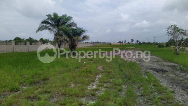 Land for sale Crystal Spring Eleko Beach Eleko Ibeju-Lekki Lagos
