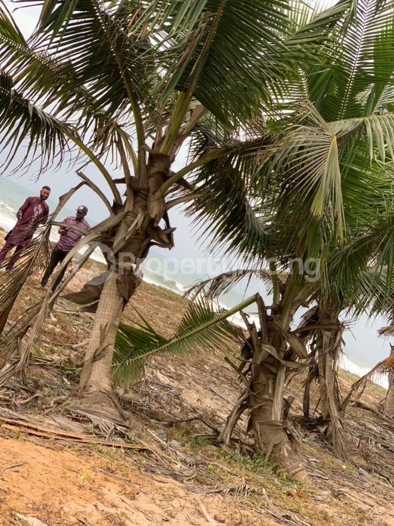 Land for sale Beach View Eleko Ibeju Lekki Free Trade Zone Ibeju-Lekki Lagos