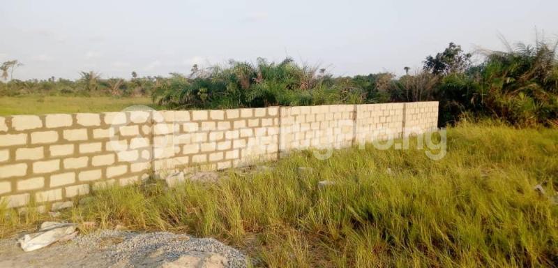 Land for sale Beachfront 2 Park And Gardens Igando Orudu Village Eleko Ibeju-Lekki Lagos