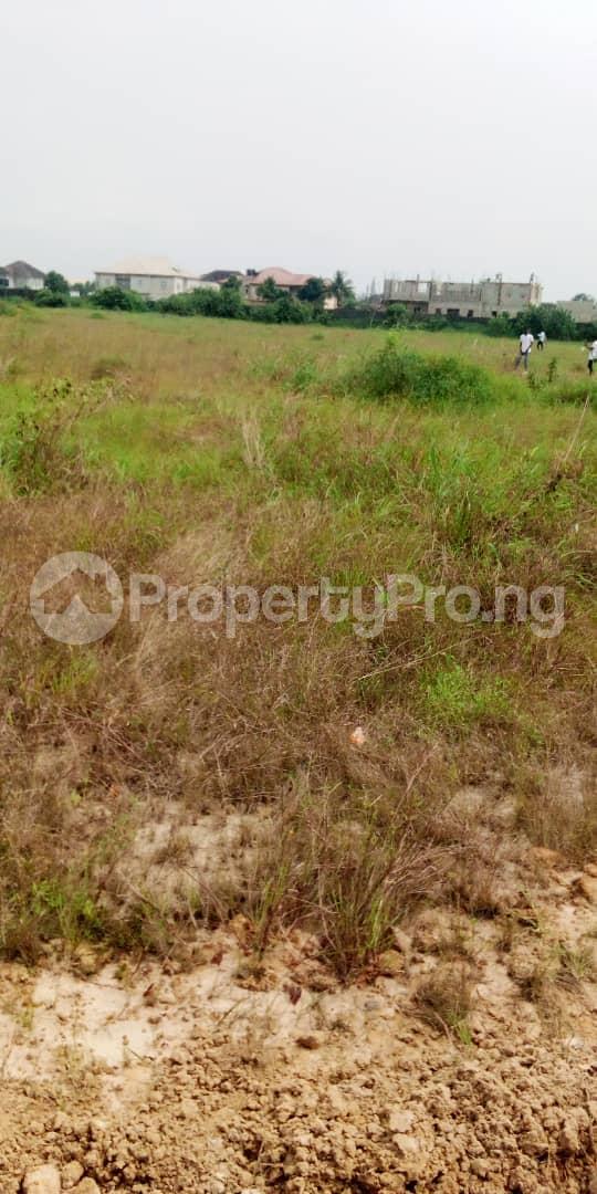Land for sale Ashron View Estate Phase 2 Eluju By Eleko Junction Close To Pan African University Eleko Ibeju-Lekki Lagos - 0