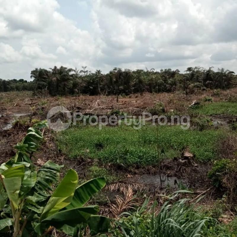 Land for sale Coal City Luxury Gardens Nkubor Village Emene Enugu Enugu