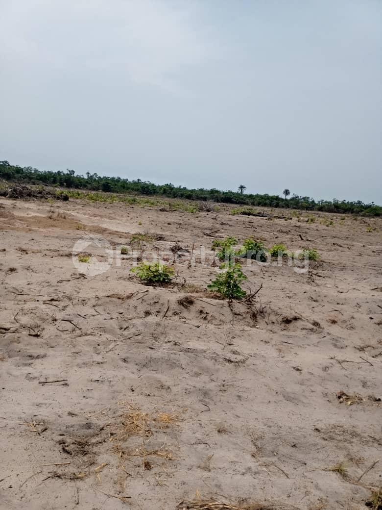 Land for sale Diamond Estate Near Caritas University Enugu Enugu
