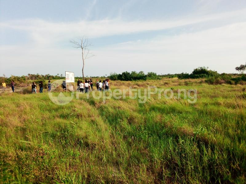 Commercial Property for sale Agric Zone Epe Road Epe Lagos