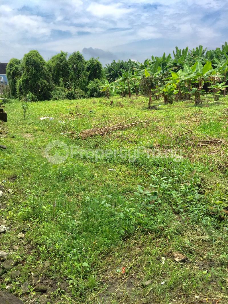 Land for sale 1st Street (gowon Street) Bendel Estate Warri Delta