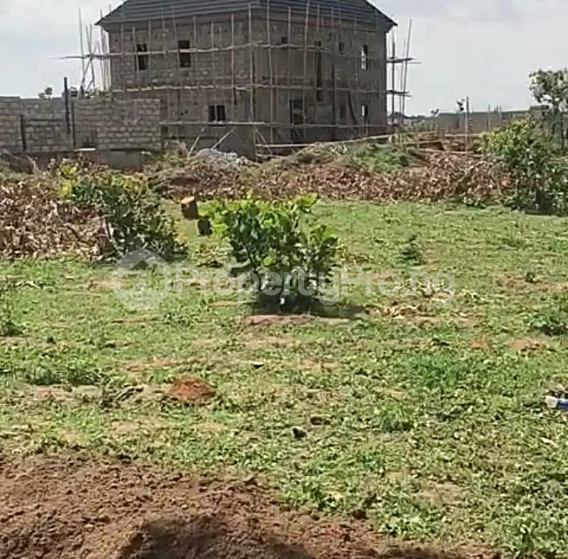 Land for sale Ibeju Agbe Bridge From Lekki International Airport Ibeju Lekki Free Trade Zone Ibeju-Lekki Lagos - 1