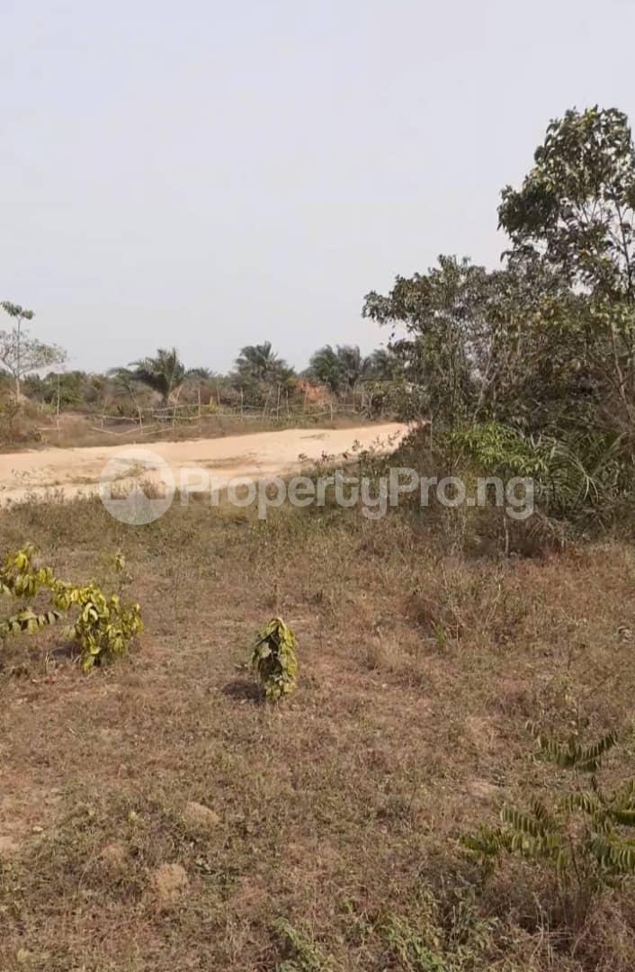 Land for sale Ibeju-Lekki Lagos - 1