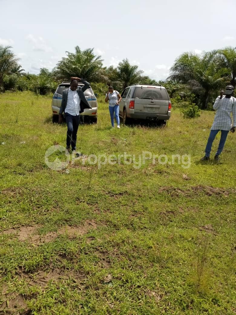 Land for sale Ibeju-Lekki Lagos - 0