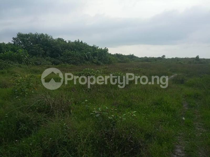 Land for sale Max Heights Ibeju Lekki Okosoko/okun Aboreji Community Ibeju-Lekki Lagos