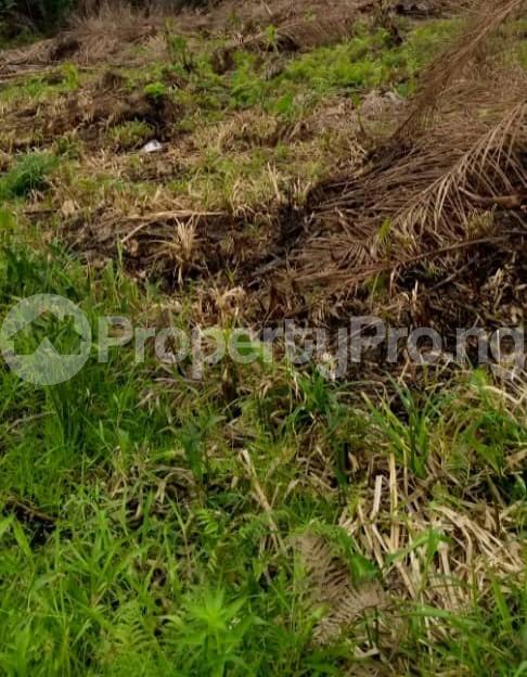 Land for sale Eleko Road Caritas Luxury Homes Grace Factor Phase 3 Free Trade Zone Ibeju-Lekki Lagos