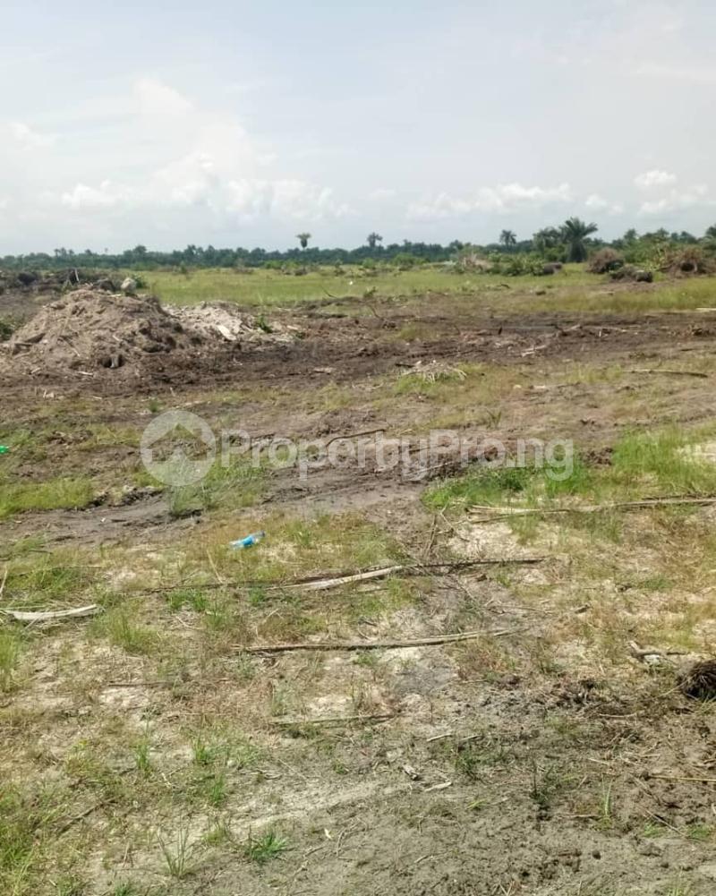 Land for sale Apakin Town Free Trade Zone Ibeju-Lekki Lagos - 1