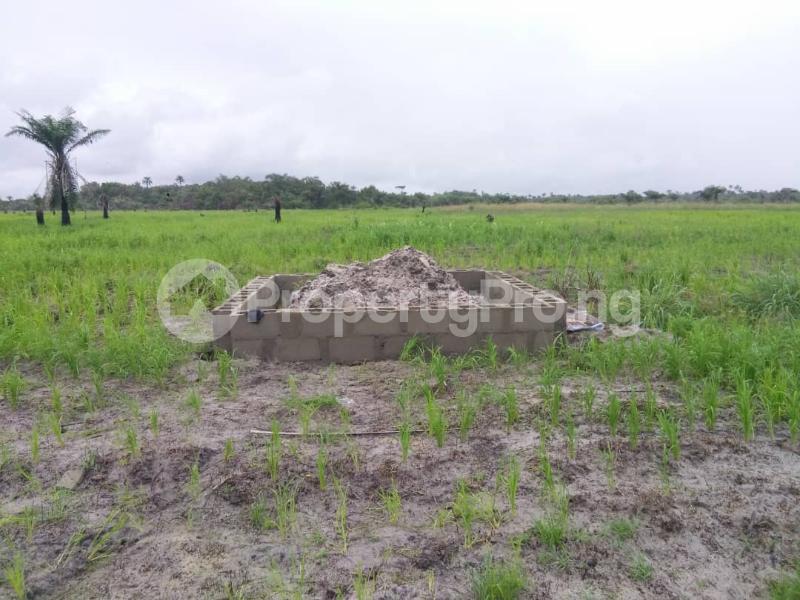 Land for sale Ode Omi Ibeju Lekki. 15 Minutes Drive From La Campaign Tropicana Beach Resort. LaCampaigne Tropicana Ibeju-Lekki Lagos - 0