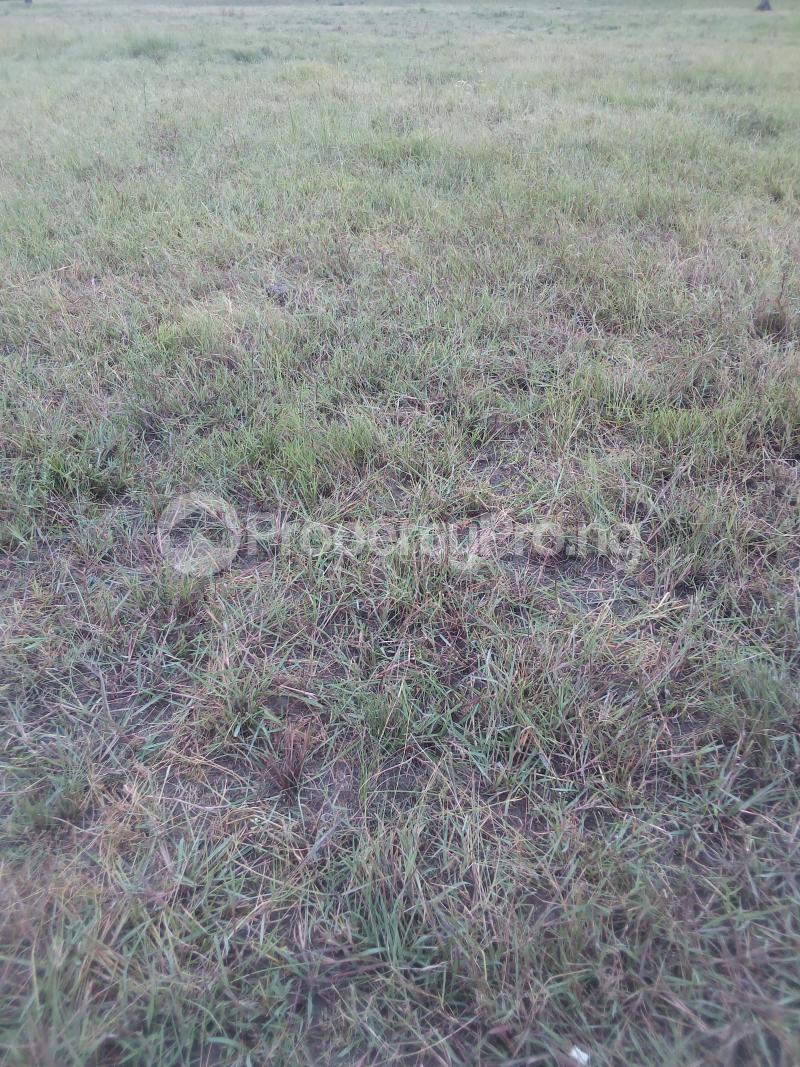 Land for sale Candle Light Estate Orinyanrin Freetrade Zone Eleko Ibeju-Lekki Lagos