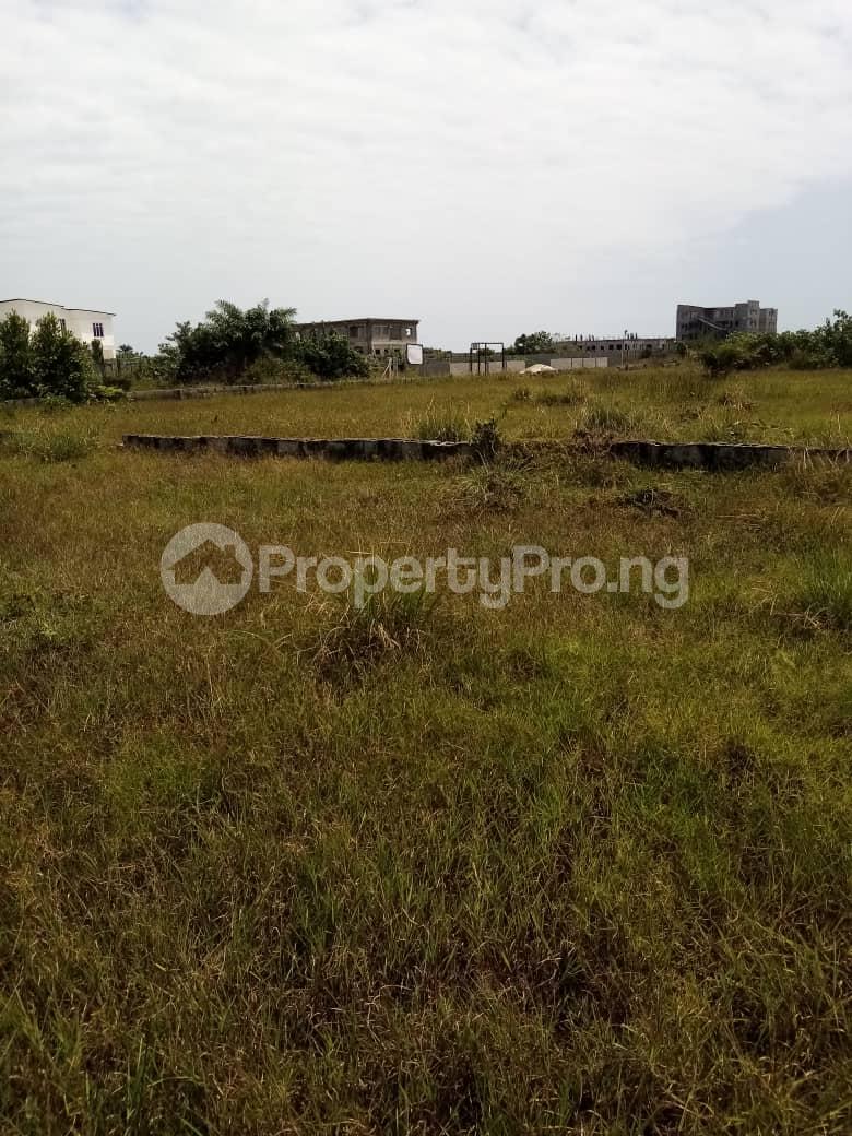 Land for sale Silver Land Located In Ilamija C Close To New Lekki International Airport Free Trade Zone Ibeju-Lekki Lagos - 0