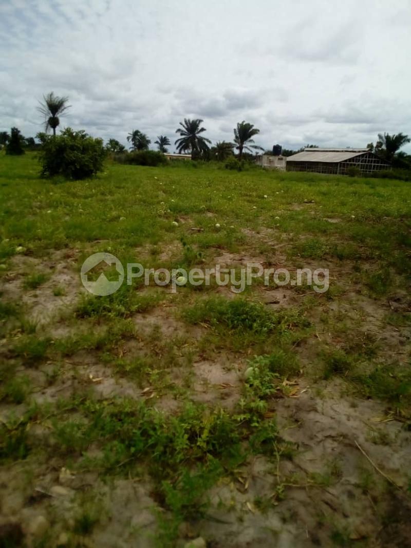 Land for sale Jakande Lekki Jakande Lekki Lagos