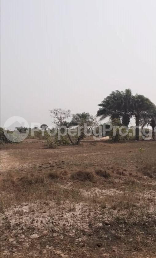 Land for sale Lekki Lagos