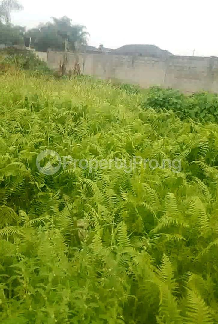 Land for sale Lekki Lagos