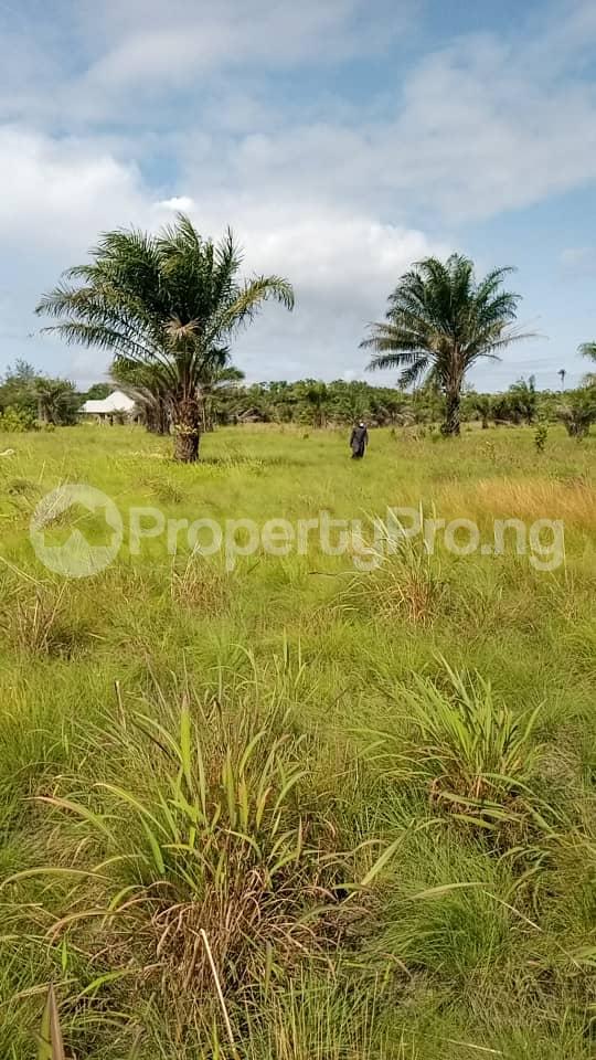 Land for sale Aiyedade Osun