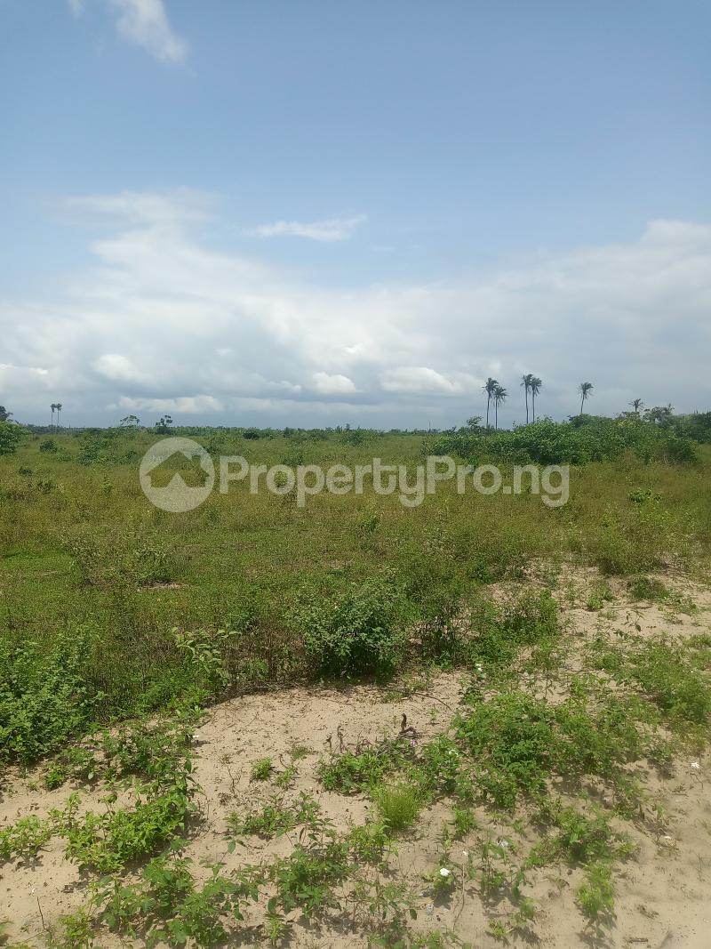 Land for sale Pinnacle Horizon Odeomi Ibeju Lekki Ibeju-Lekki Lagos - 1