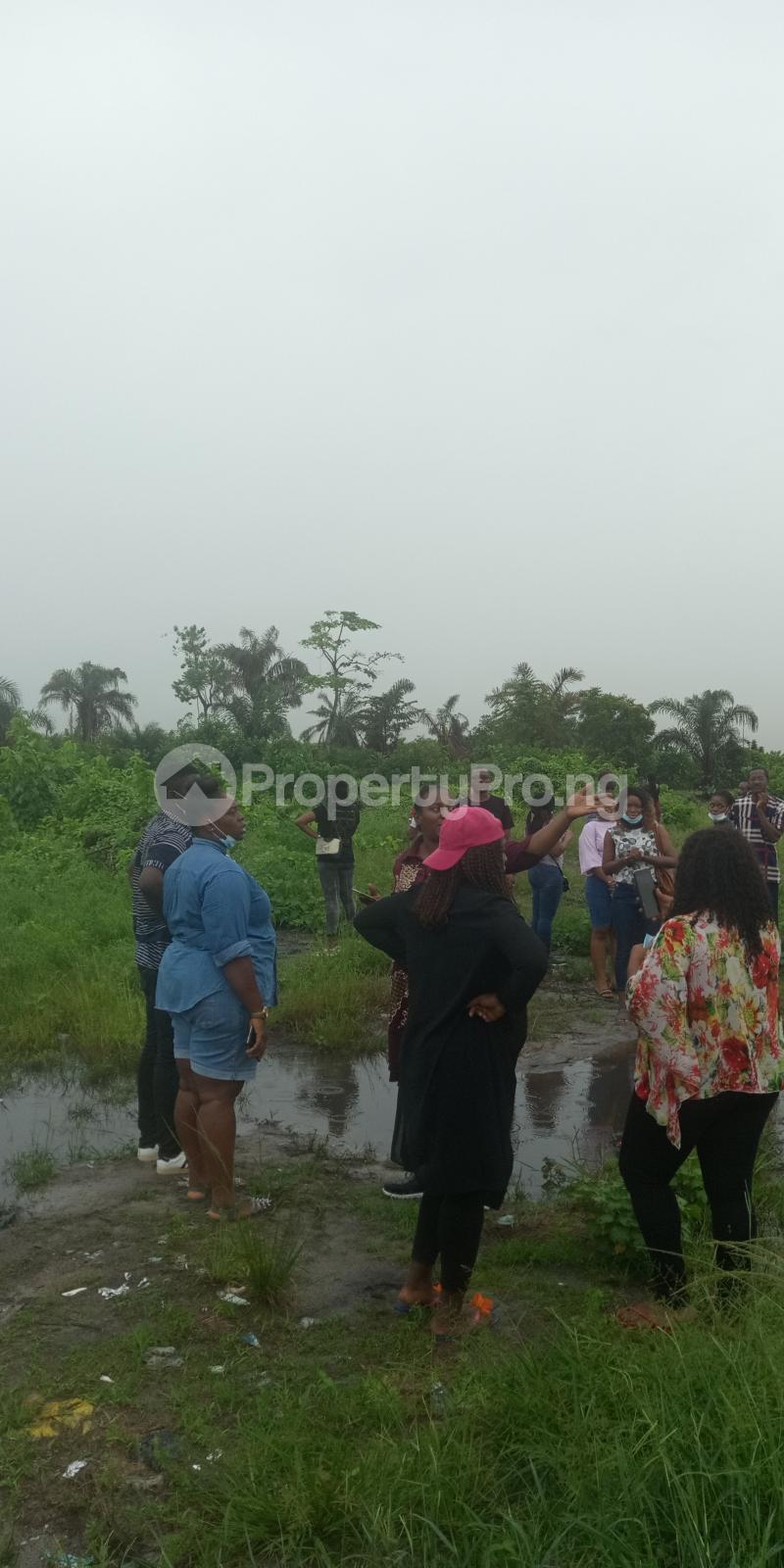 Land for sale Blissful Estate Odeomi Ibeju Lekki Lagos State Ibeju-Lekki Lagos