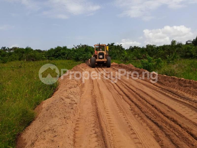 Land for sale Diamond Estate Phase 2 Ogbaku Along Ogbaku Ejemekwuru Road Imo State Owerri Imo