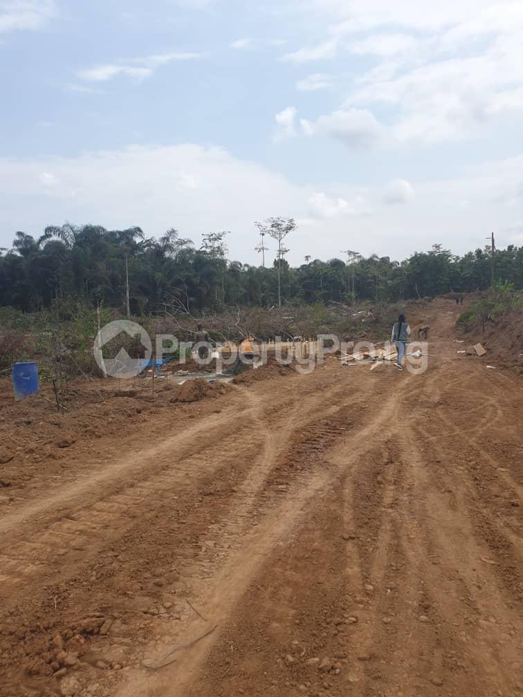 Land for sale Ala Udo Gardens & Parks Onitsha Owerri Road Ogbbaku By Winners Chapels. Owerri Imo