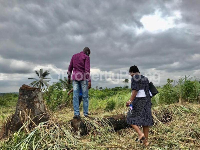 Land for sale Spring Wood Court Located In Okegun Town Ibeju Lekki Coordinate Eluju Ibeju-Lekki Lagos