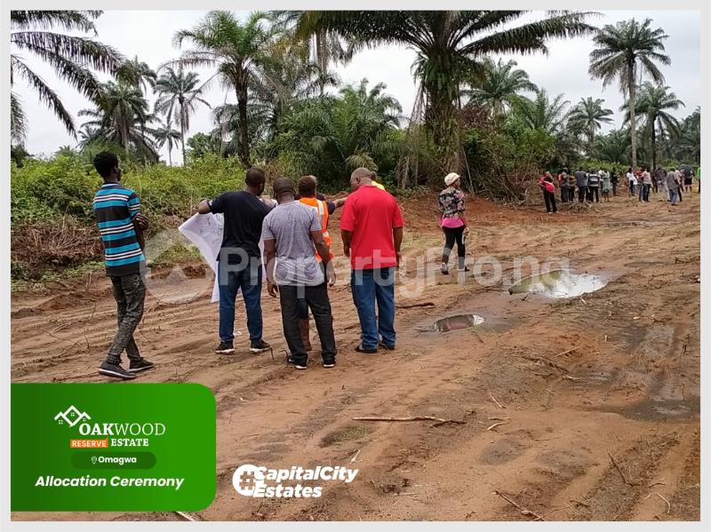 Land for sale Edgewood Court Okun Ilado Ibeju Lekki LaCampaigne Tropicana Ibeju-Lekki Lagos - 0