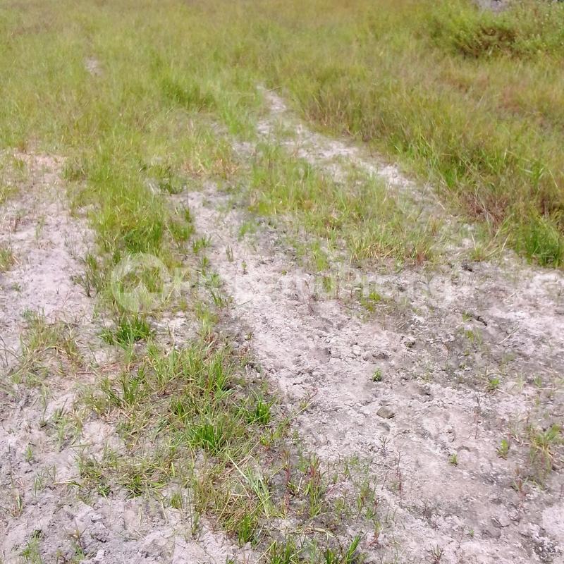 Land for sale Alaudo Garden And Park 2 Onitsha Owerri Road Awka South Anambra