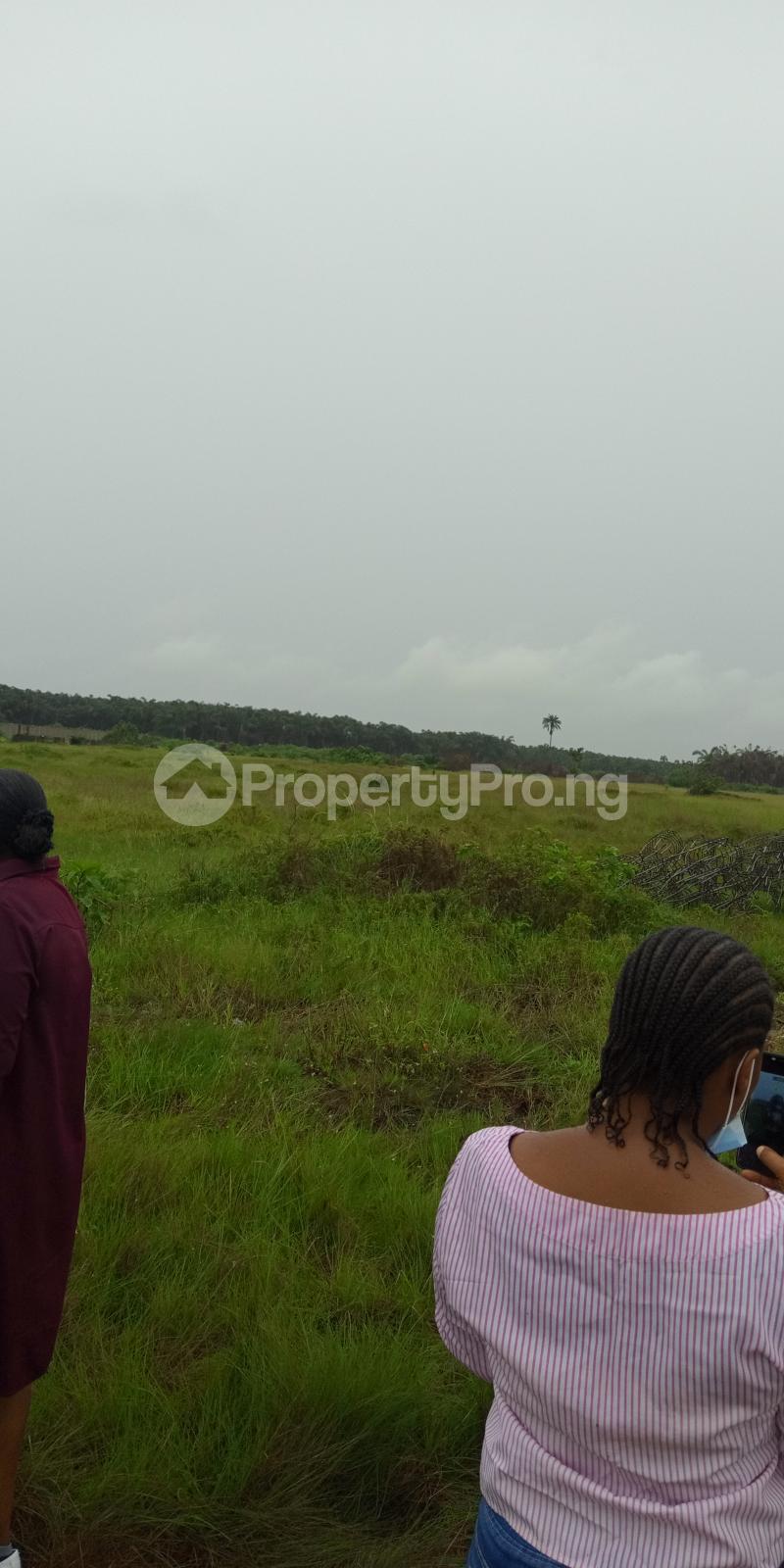 Land for sale Rockcreek Park Orimedu Town Ibeju Lekki Lagos Orimedu Ibeju-Lekki Lagos - 0