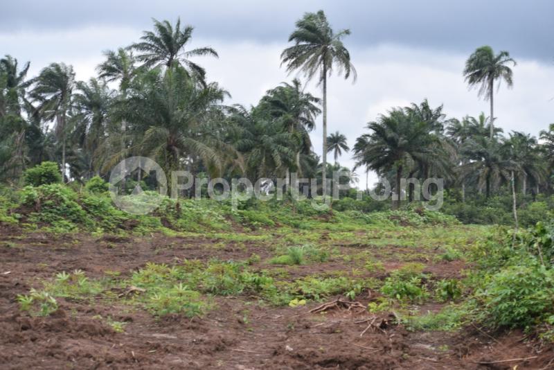 Land for sale Lagoon Court Orimedu Town Ibeju Lekki Orimedu Ibeju-Lekki Lagos