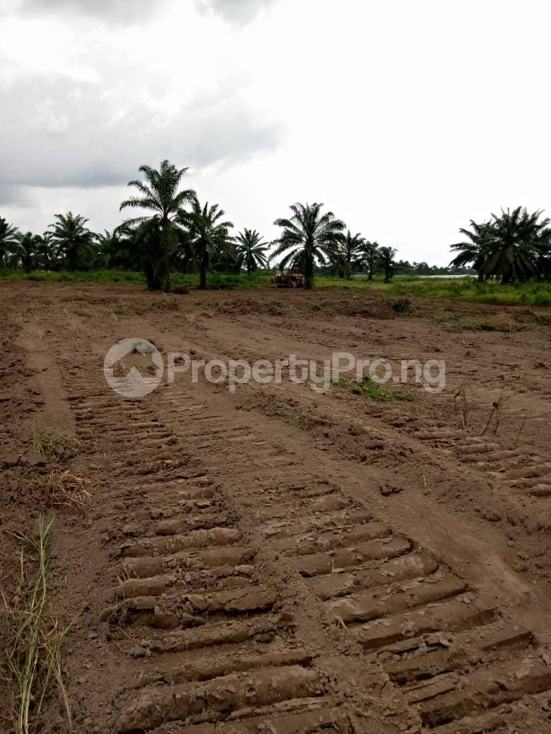 Land for sale Ala Udo Gardens And Parks Phase 3 Along Owerri Porthar Court Road Close To Avu Junction. Owerri Imo - 0