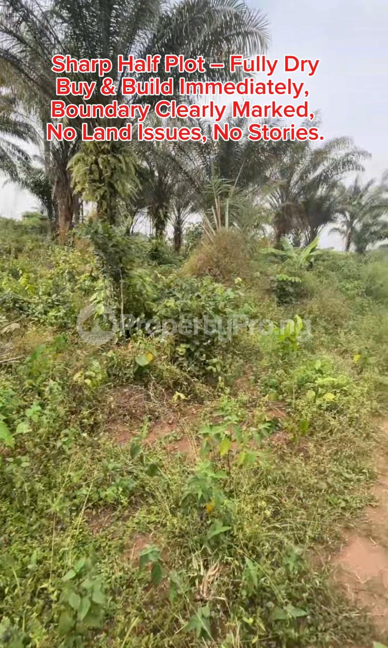 Land for sale Owalla Uratta (along Toronto Uratta Expressway) Owerri Imo - 0