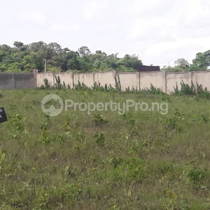 Land in Owerri Imo Land for sale in owerri Land in owerri