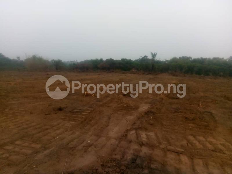 Land for sale Satellite Town Amuwo Odofin Lagos