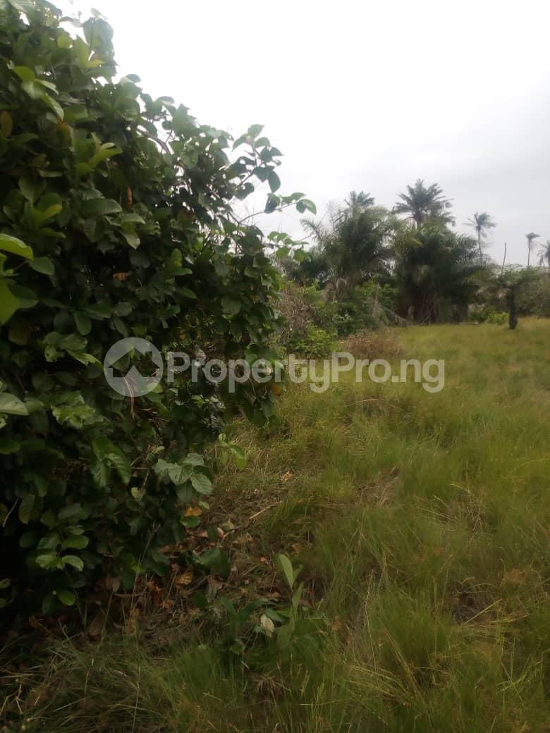 Land for sale Ciza Gold City Airport Road Owerri North Lga Owerri Imo