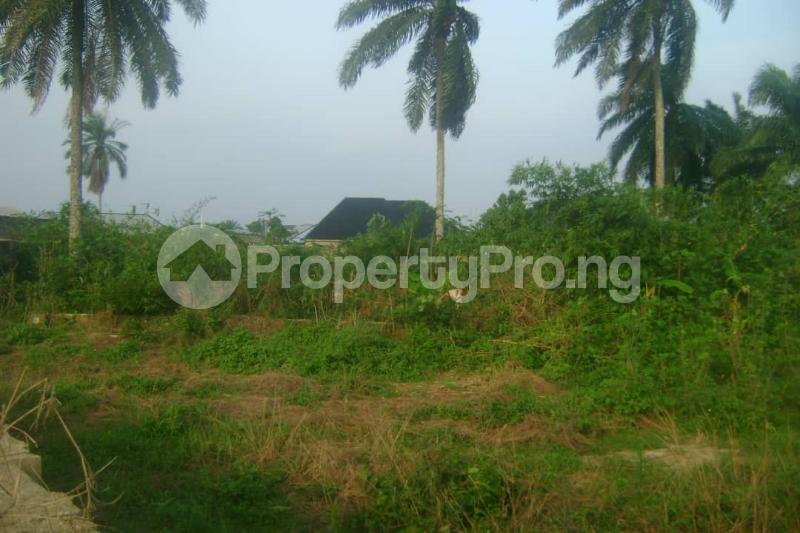 Land in Uyo Akwa Ibom Land for sale in uyo Land in uyo PropertyPro.ng