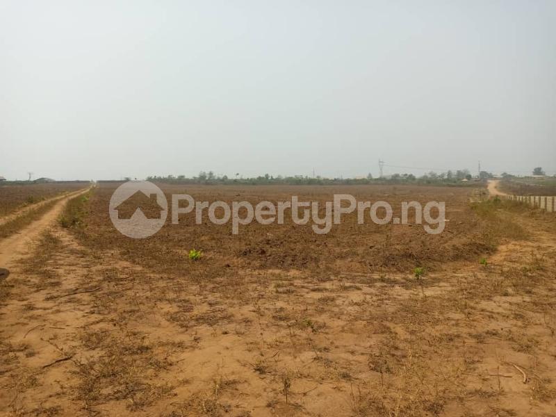 Land in Abeokuta Ogun Land for sale in abeokuta Land in abeokuta