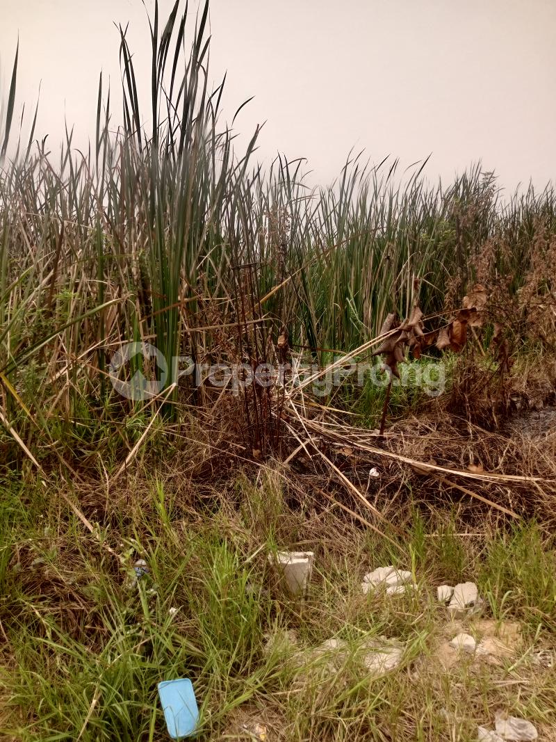 Land for sale Palm Crescent Estate Badore Ajah Lagos